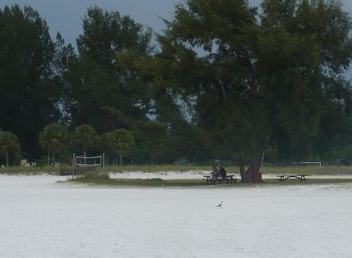 Picnic and volleyball are on Siesta Beach